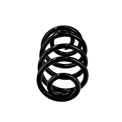 ARC SPIRAL EIBACH R10050 1