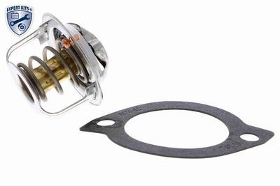 TERMOSTAT LICHID RACIRE