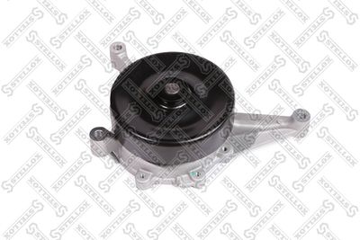 водна помпа, охлаждане на двигателя STELLOX 4500-0470-SX