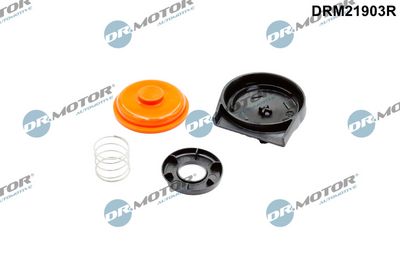 MEMBRANA AERISIRE CARCASA ARBORE COTIT