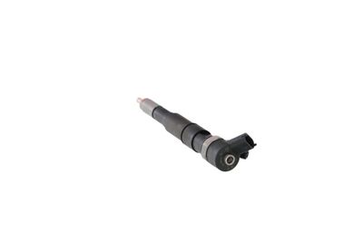 INJECTOR REMANTE 002003001174R 19