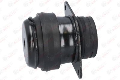 SUPORT MOTOR BIRTH 5476 11