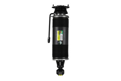 LUFTFEDERBEIN Arnott SK2485 4