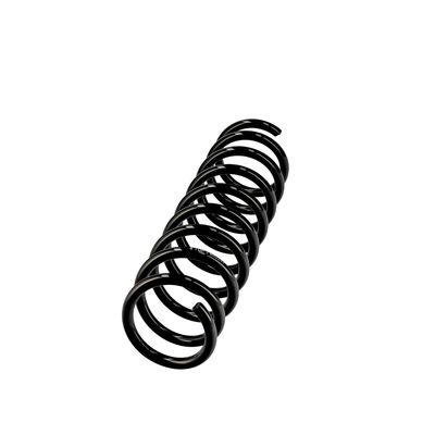 ARC SPIRAL EIBACH R10247 2