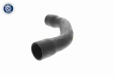 KüHLERSCHLAUCH VAICO V303548 4