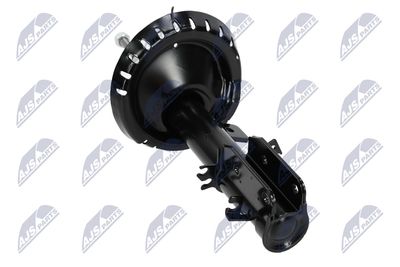 AMORTIZOR NTY ACT042 13