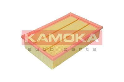 Air Filter F247801