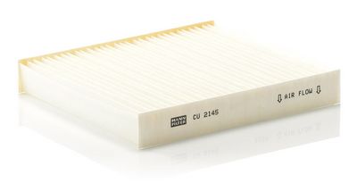 Filter, Innenraumluft