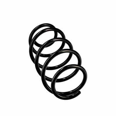 ARC SPIRAL EIBACH R10569 24