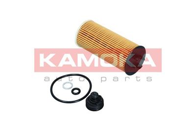 Oil Filter F116101