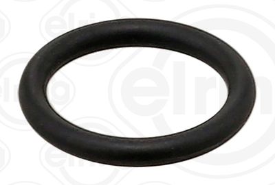 Seal Ring 424.790