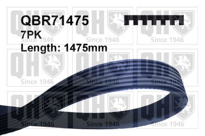 Поликлиновой ремень QUINTON HAZELL QBR71475 для TOYOTA HILUX