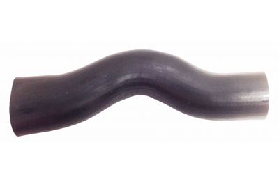 FURTUN EAR SUPRAALIMENTARE