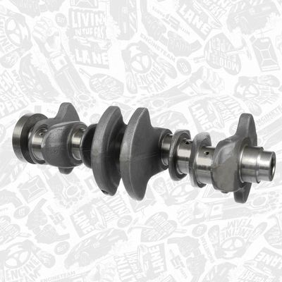 ARBORE COTIT ET ENGINETEAM HK0219 1