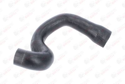 FURTUN EAR SUPRAALIMENTARE BIRTH 55761 12