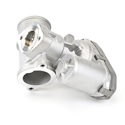 AGR-VENTIL DELPHI EG1041012B1 13