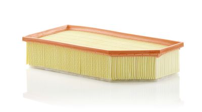 Air Filter C 36 030