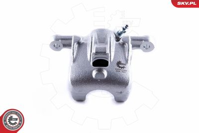 Brake Caliper 55SKV084