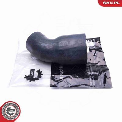 FURTUN EAR SUPRAALIMENTARE