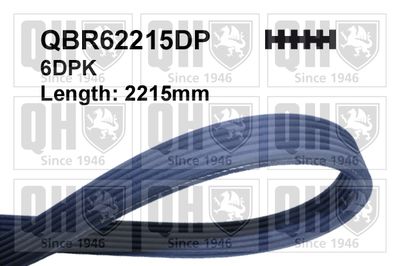 Pasek klinowy wielorowkowy QUINTON HAZELL QBR62215DP