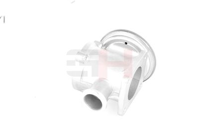 SUPAPA EGR GH GH731560 42