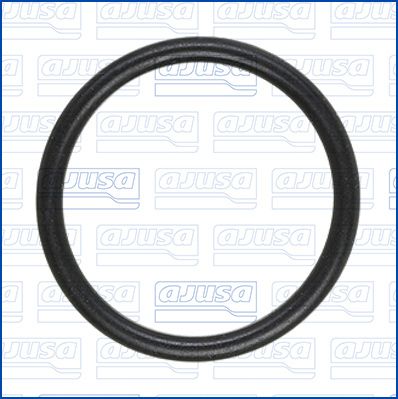 GARNITURA CONDUCTA LICHID DE RACIRE