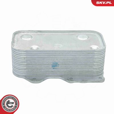 RADIATOR ULEI ULEI MOTOR ESEN SKV 31SKV211 3