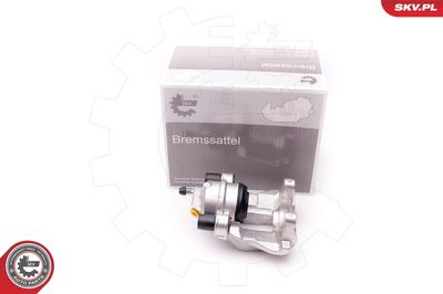 Brake Caliper 23SKV794