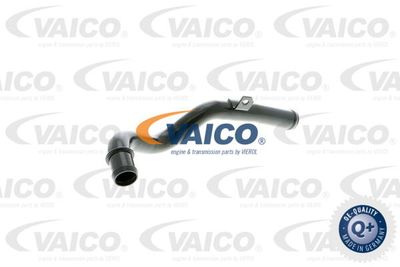 Шланг, вентиляция картера VAICO V10-2525 для AUDI A3