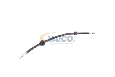 FURTUN FRANA VAICO V240328 46