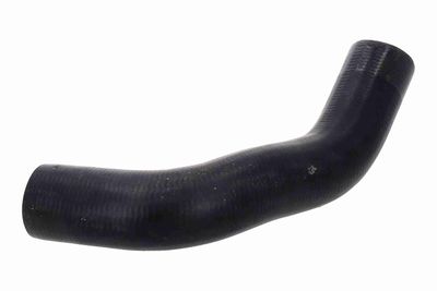 FURTUN EAR SUPRAALIMENTARE ACKOJA A260540 1