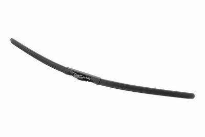 LAMELA STERGATOR ACKOJA A520676 4