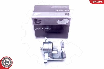 Brake Caliper 42SKV692