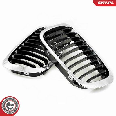 GRILA RADIATOR ESEN SKV 66SKV064 4