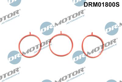 Zestaw uszczelek, kolektor dolotowy DR.MOTOR AUTOMOTIVE DRM01800S