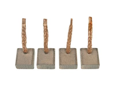 Anglies šepetėlis, starteris