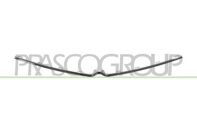 покривна/защитна лайсна, решетка на радиатора PRASCO OP7032216
