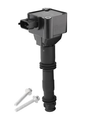 BorgWarner (BERU) Zündspule
