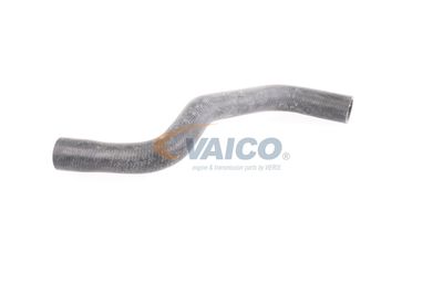 KüHLERSCHLAUCH VAICO V460911 31