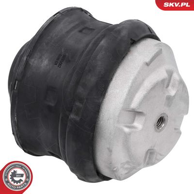 Zavěšení motoru ESEN SKV 75SKV002