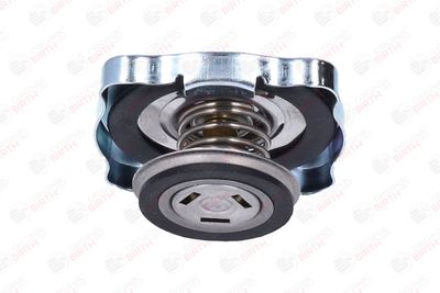 BUSON RADIATOR BIRTH 8087 6