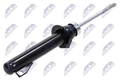 AMORTIZOR NTY AAR011 1