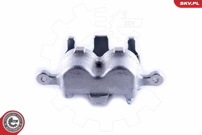 Brake Caliper 55SKV521