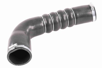 FURTUN EAR SUPRAALIMENTARE