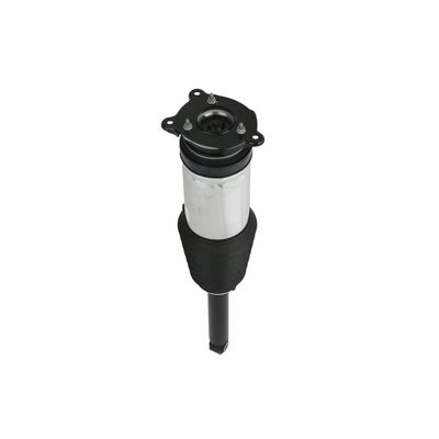 LUFTFEDERBEIN Arnott AS3749 60