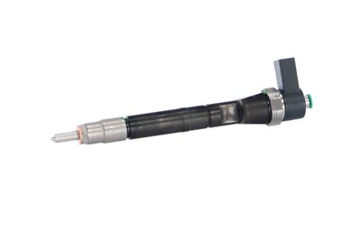 INJECTOR REMANTE 002003000141R 8
