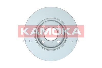 Brake Disc 1032536