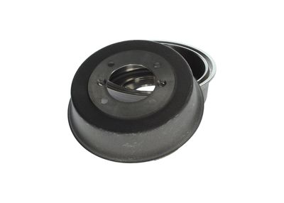 TAMBUR FRANA BOSCH 0986477062 22