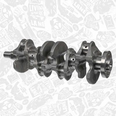 ARBORE COTIT ET ENGINETEAM HK0237 2