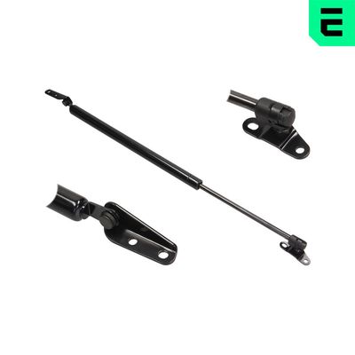 AMORTIZOR GAZ PAVILION